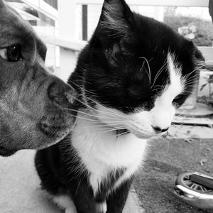 Meet your Posher, Leslie